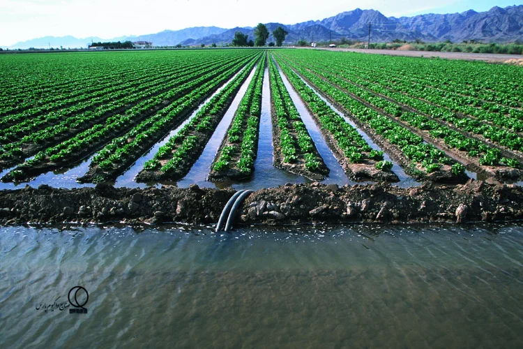 اهمیت و نقش پمپ آب در کشاورزی