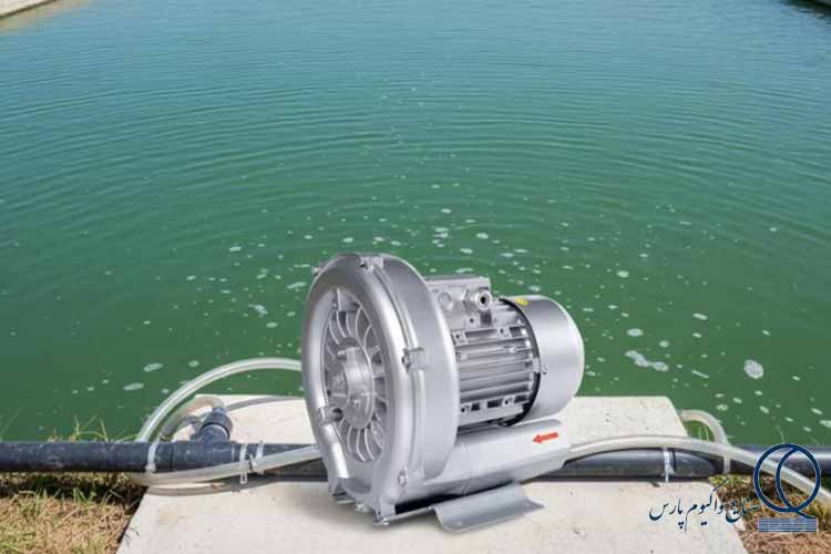 استخر پرورش ماهی