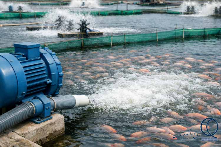 اندازه ‌گیری اکسیژن آب